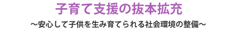 子育て支援の抜本拡充～安心して子供を生み育てられる社会環境の整備～