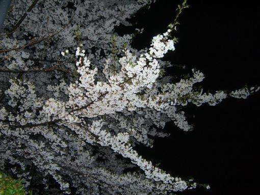 2006年4月2日