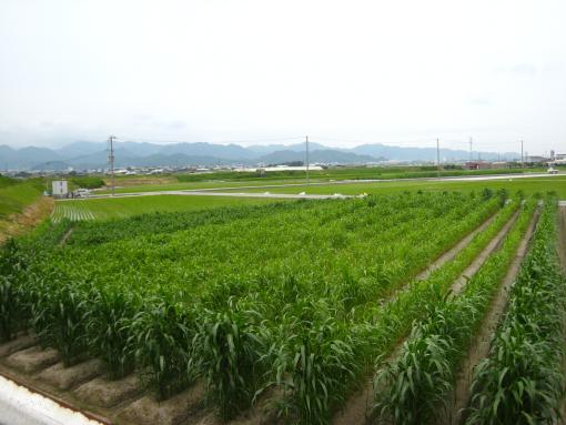 2008年7月18日