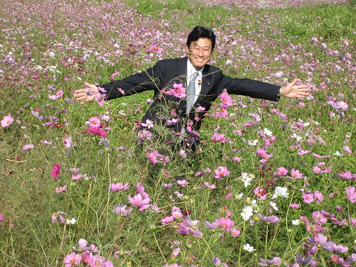 2008年11月3日