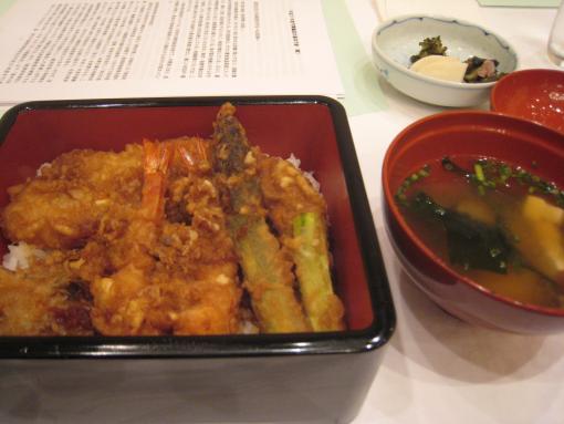 2009年1月11日
