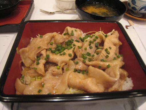 2009年1月16日