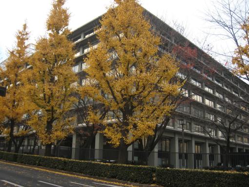 2008年12月15日