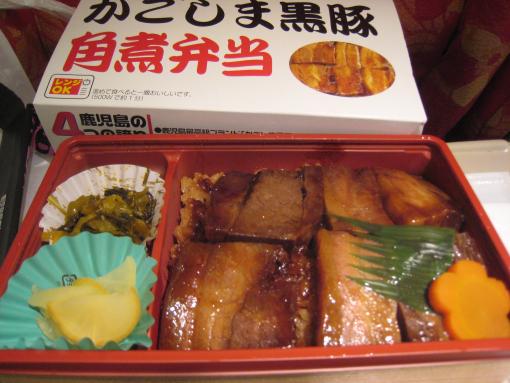2009年2月11日