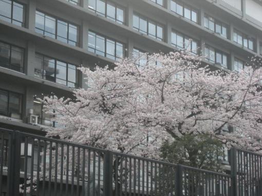 2009年4月7日