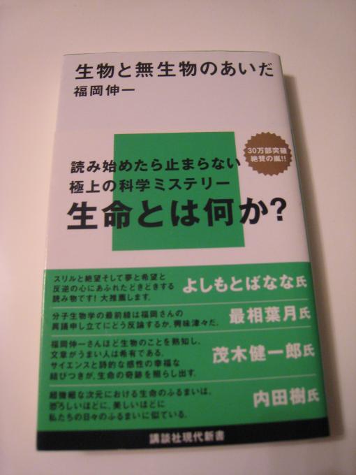2009年4月29日