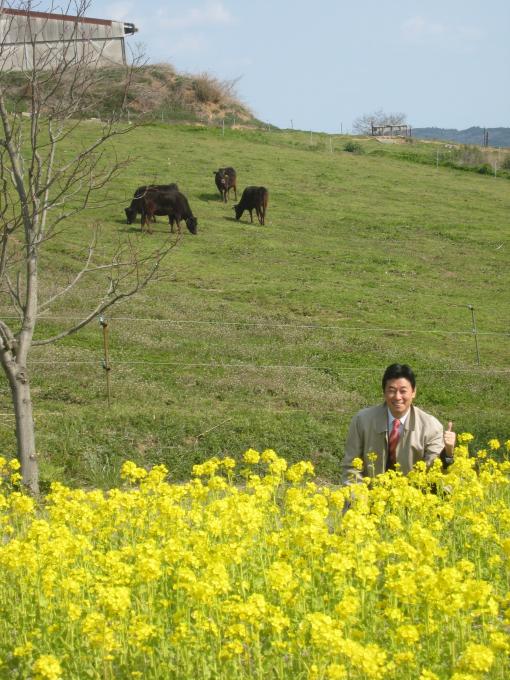 2009年4月11日