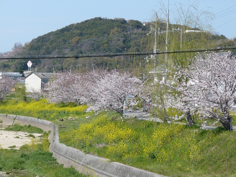 2010年4月5日