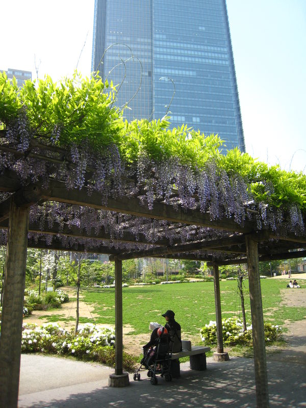 2010年5月25日