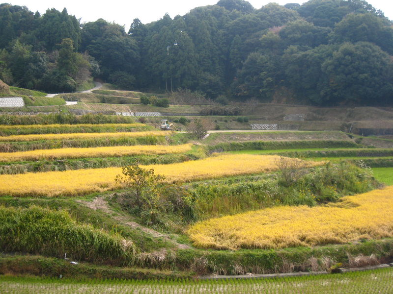 2010年11月14日