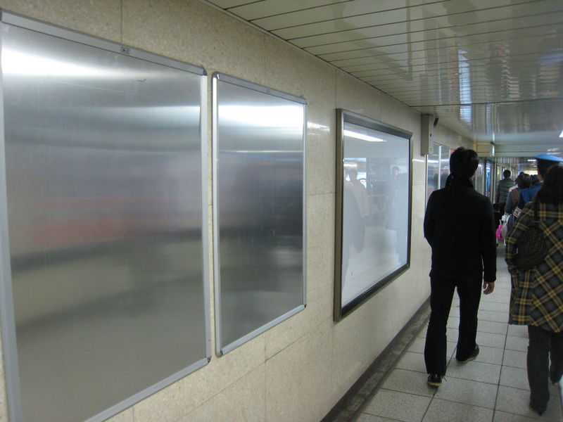 2011年1月8日
