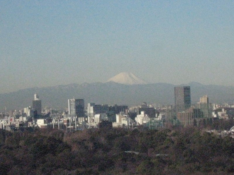 2011年2月10日