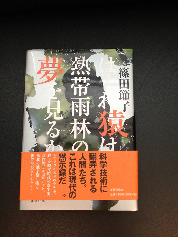 2013年1月13日