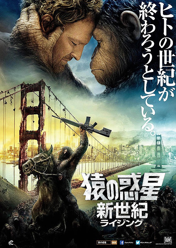 2014年11月8日