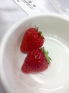 2017年1月26日