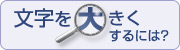 文字を大きくするには